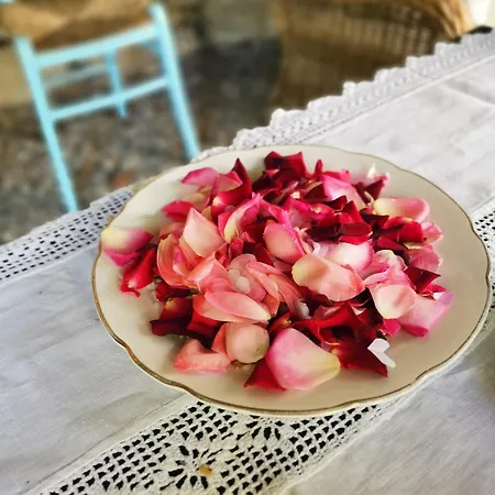 Bed & Breakfast Antica Locanda Lunetta 4*